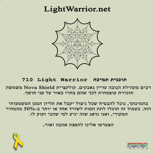 תוכנית תמיכה